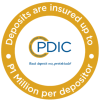 New Official PDIC Digital Decal