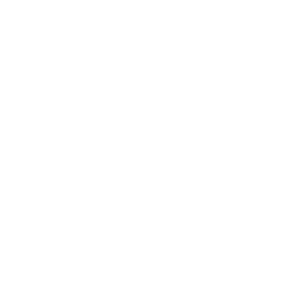 alert